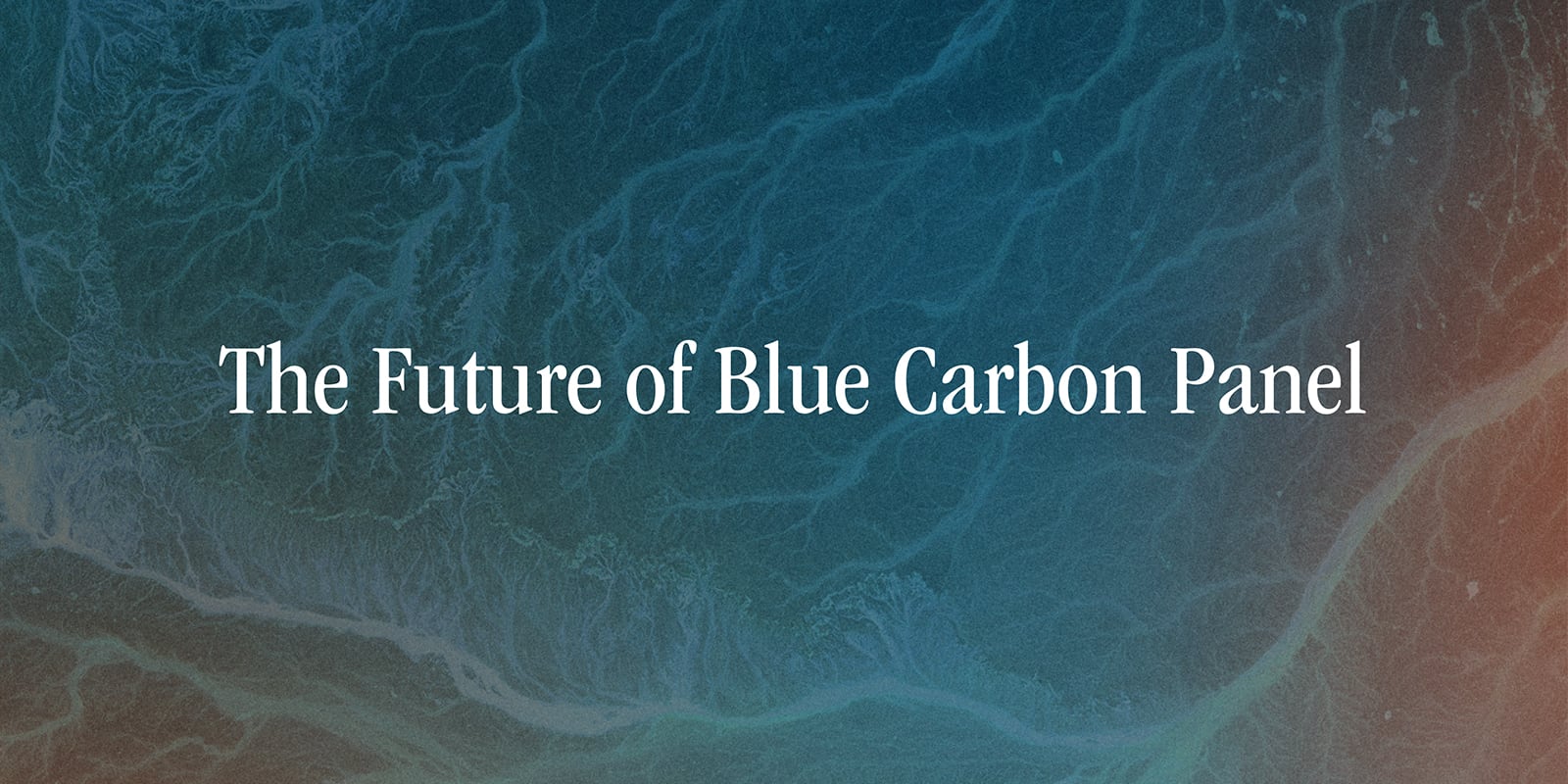 The Future of Blue Carbon Panel